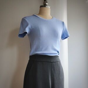 Aritzia Homestretch Cropped Ribbed Tee